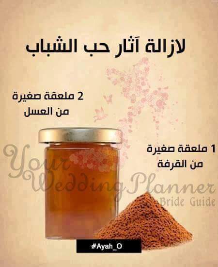 bntpal.com_145642568
