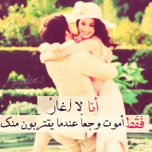 bntpal.com_145649563