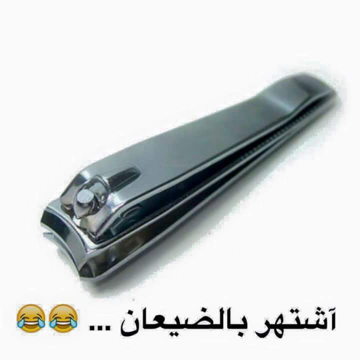 \ bntpal.com_145656594