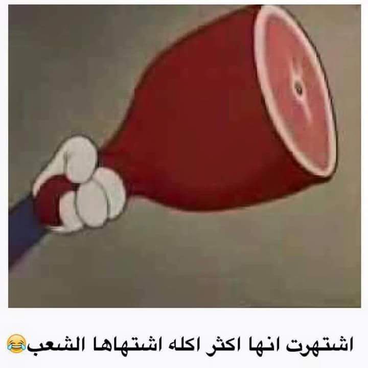 \ bntpal.com_145656594