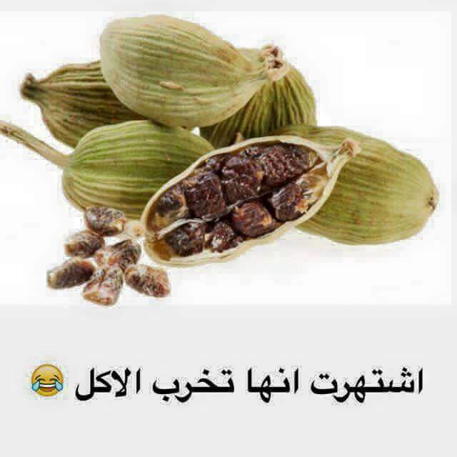 \ bntpal.com_145656594