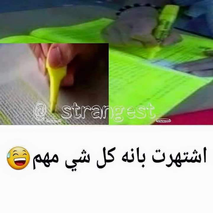 \ bntpal.com_145656594