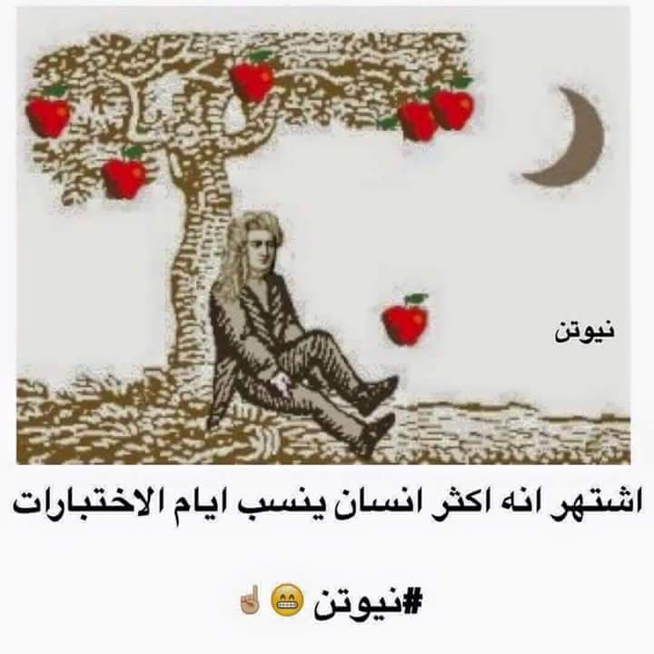 \ bntpal.com_145656594