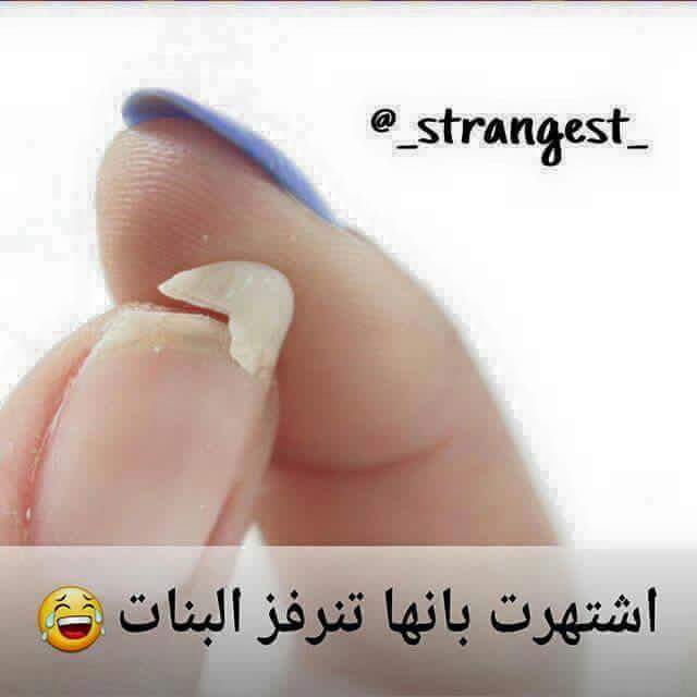 \ bntpal.com_145656597