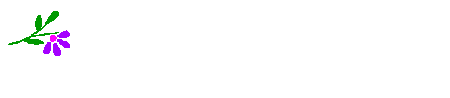   bntpal.com_145667949