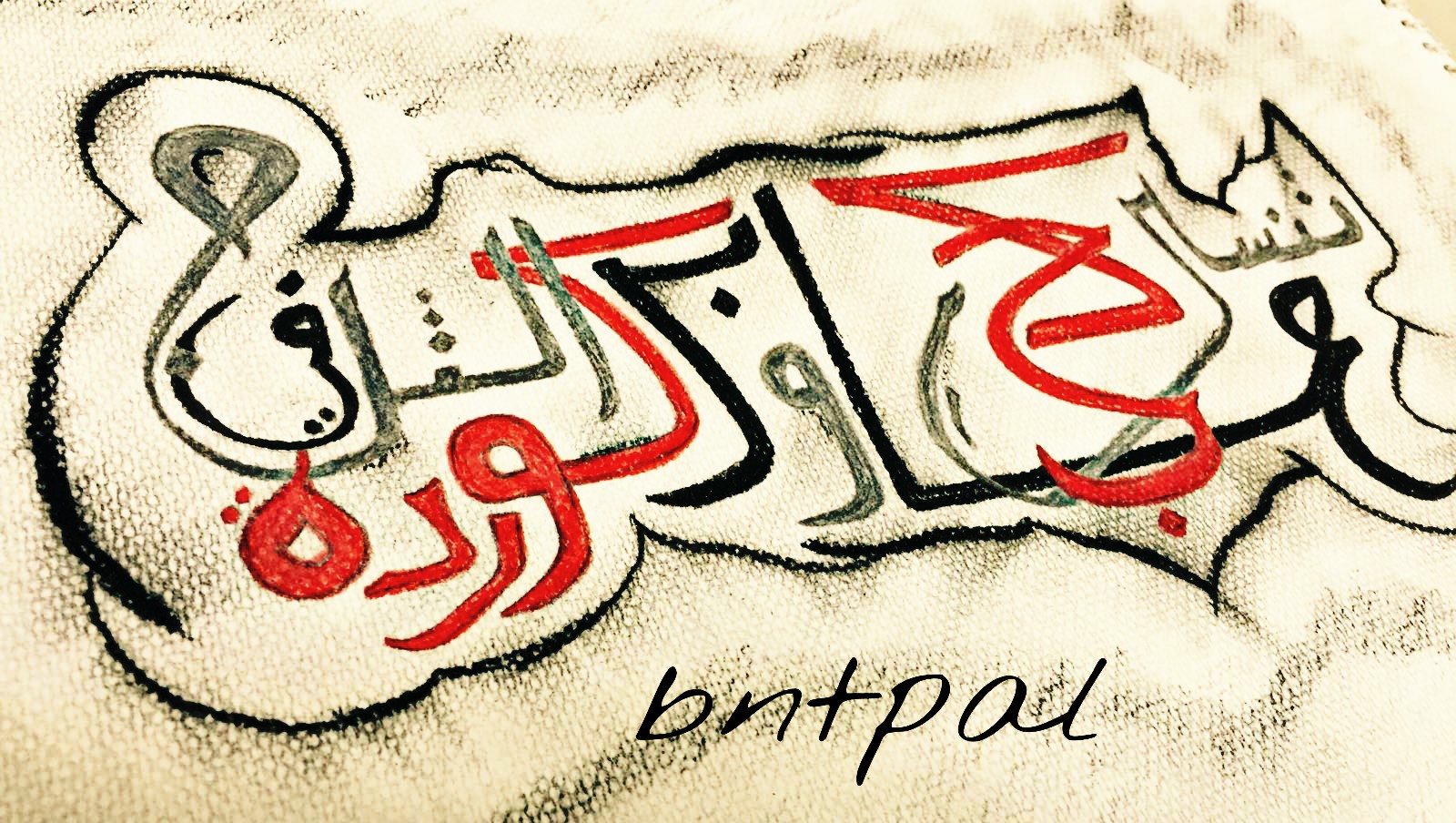   bntpal.com_145670624