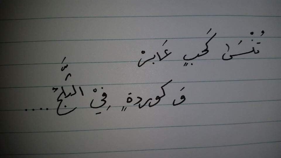   bntpal.com_145683838