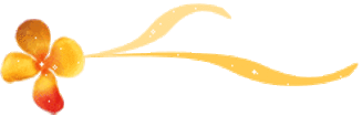    bntpal.com_145690097