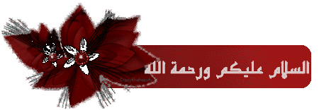    bntpal.com_145690162