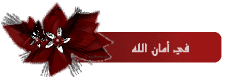    bntpal.com_145690162