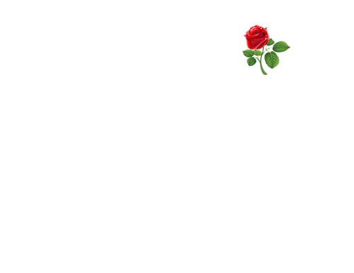   bntpal.com_145692174