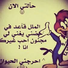 bntpal.com_145702598