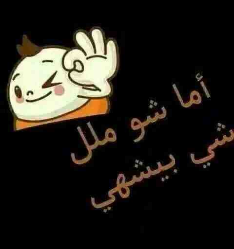 bntpal.com_145702598