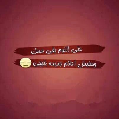 bntpal.com_145702598