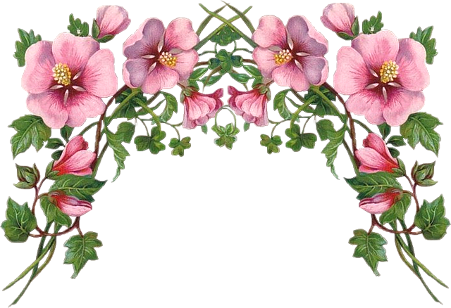 bntpal.com_145707936