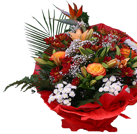 bntpal.com_145707936