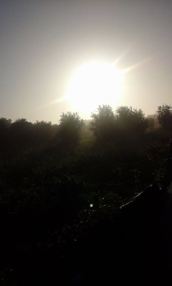   bntpal.com_145708335