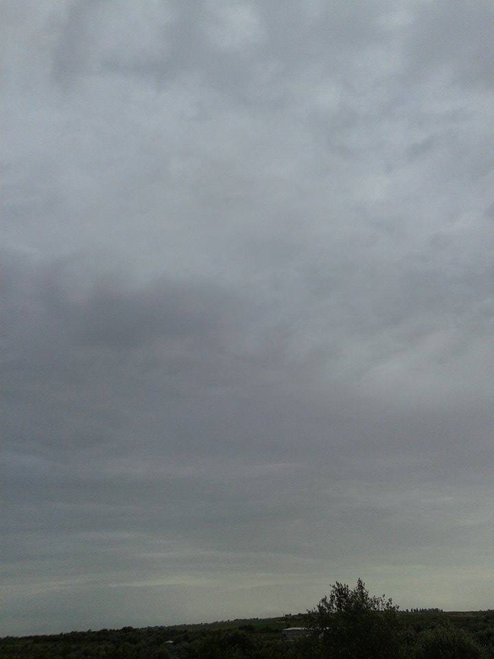   bntpal.com_145708335
