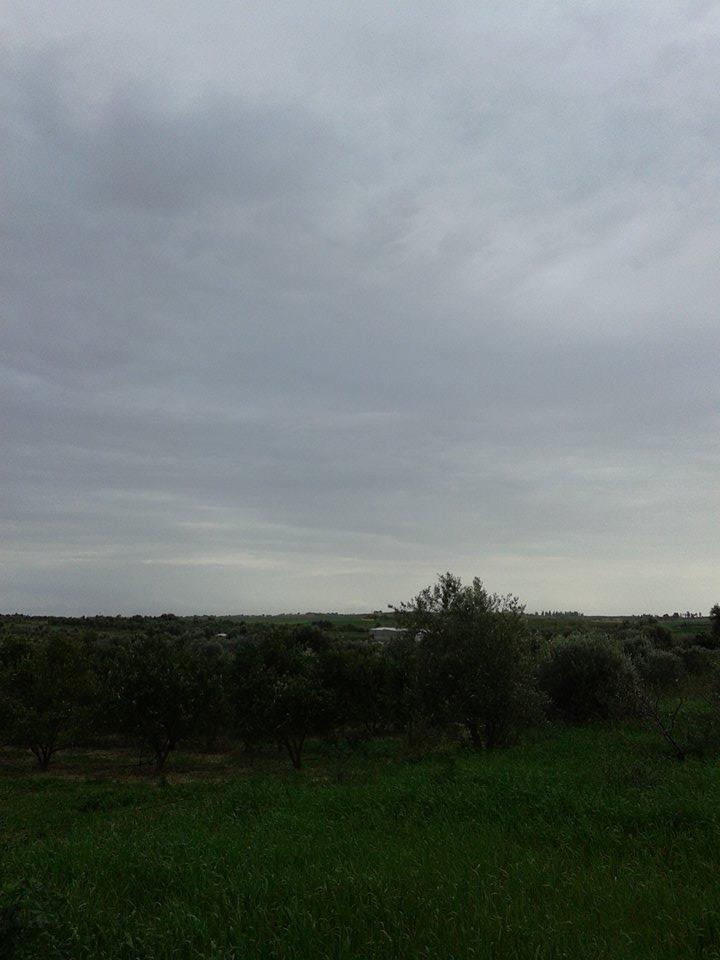   bntpal.com_145708335