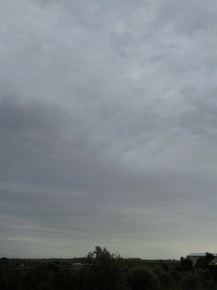   bntpal.com_145708335