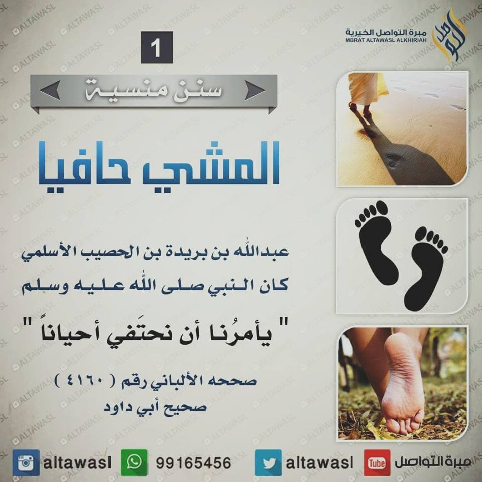 bntpal.com_145708608