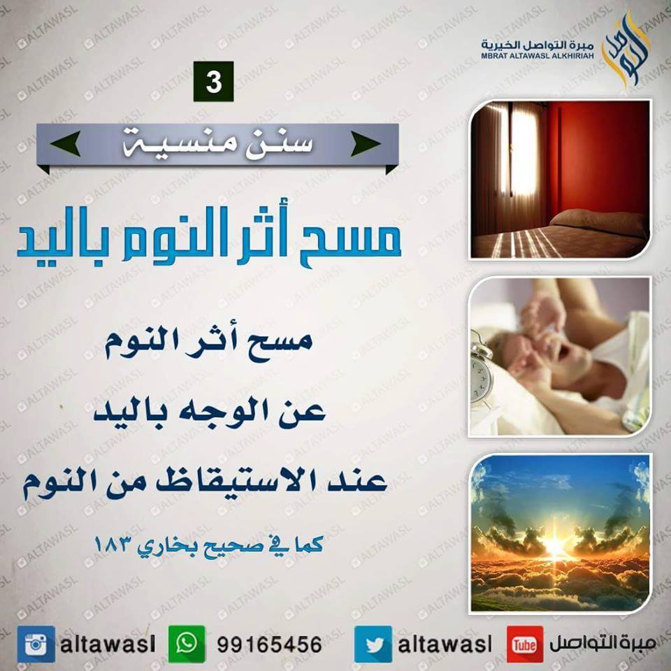 bntpal.com_145708608