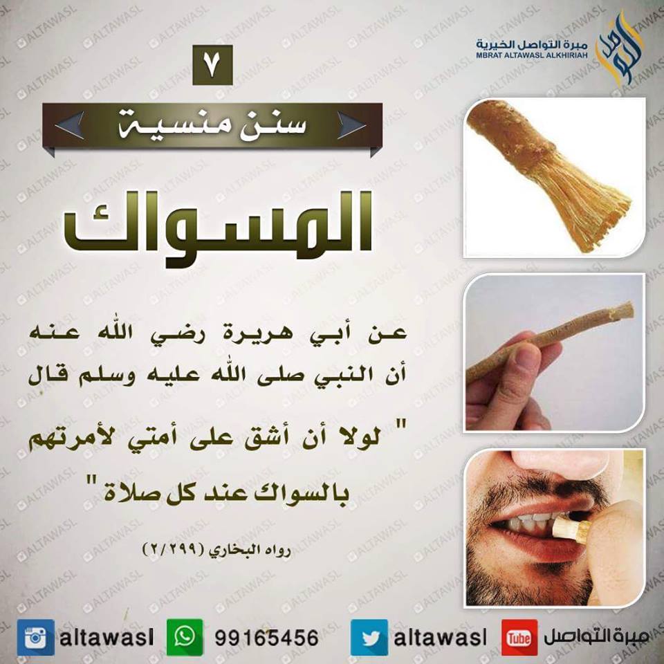 bntpal.com_145708608