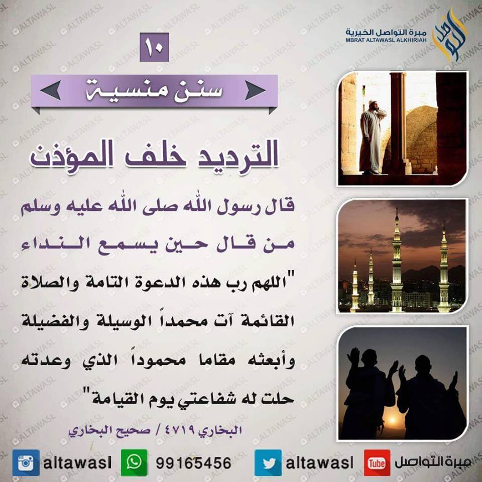 bntpal.com_145708608