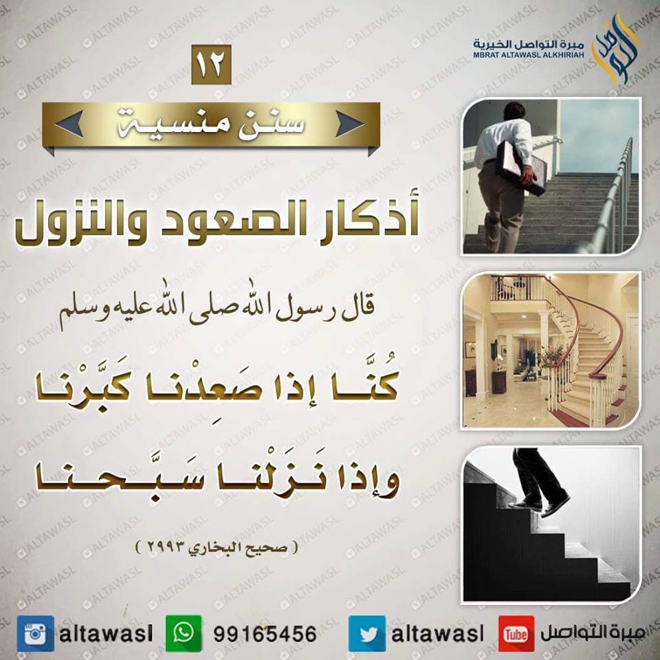 bntpal.com_145708608