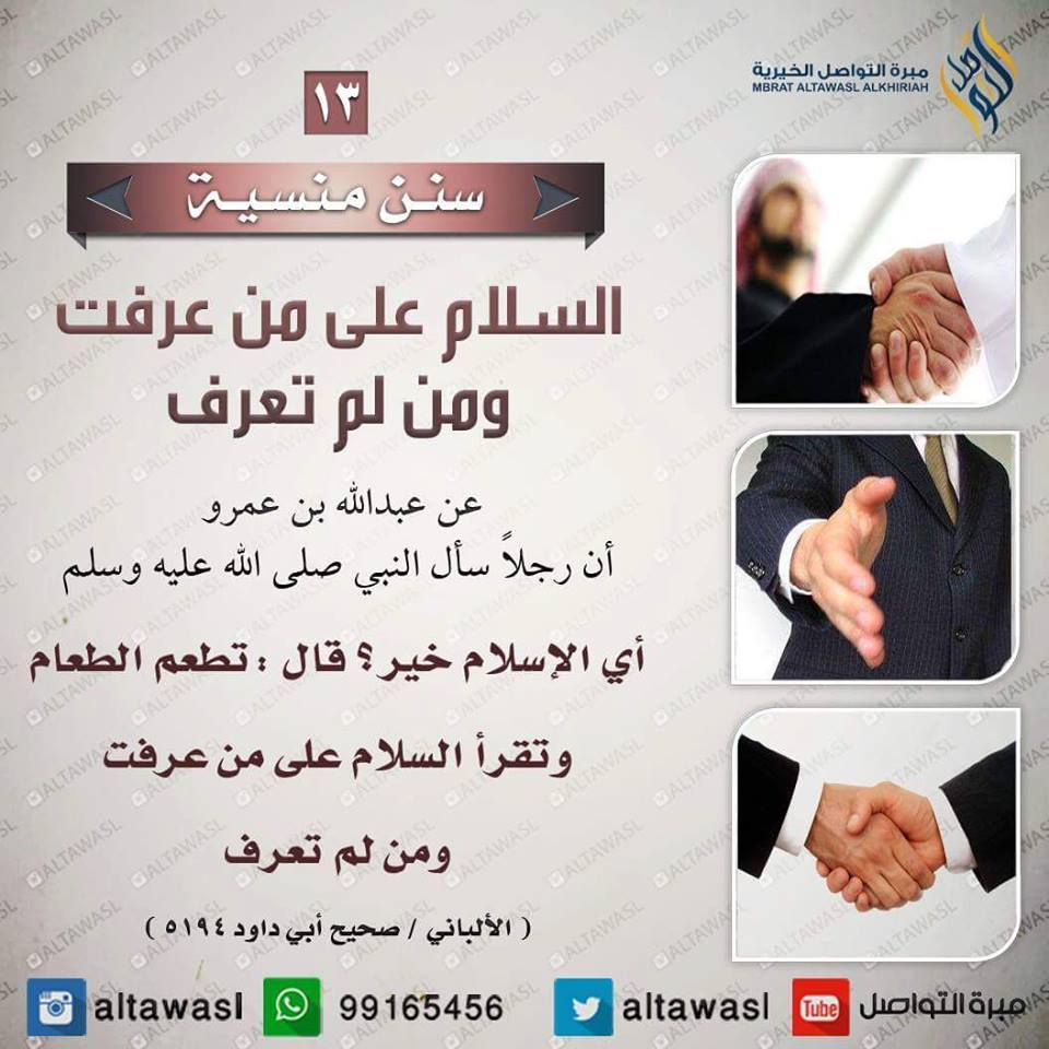 bntpal.com_145708608