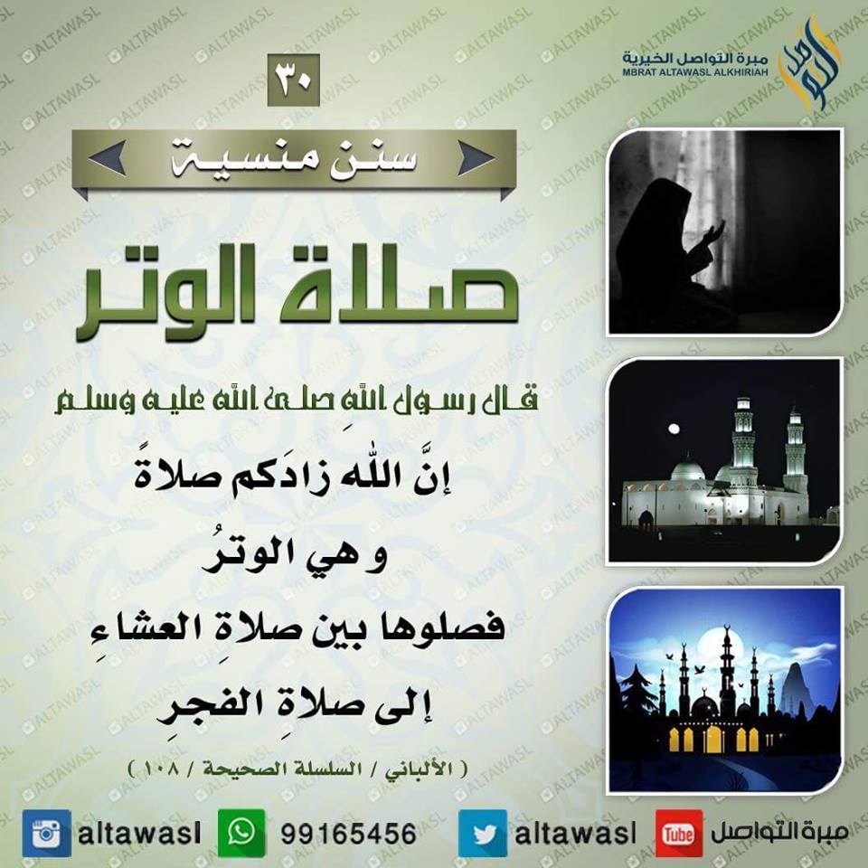 bntpal.com_145708622
