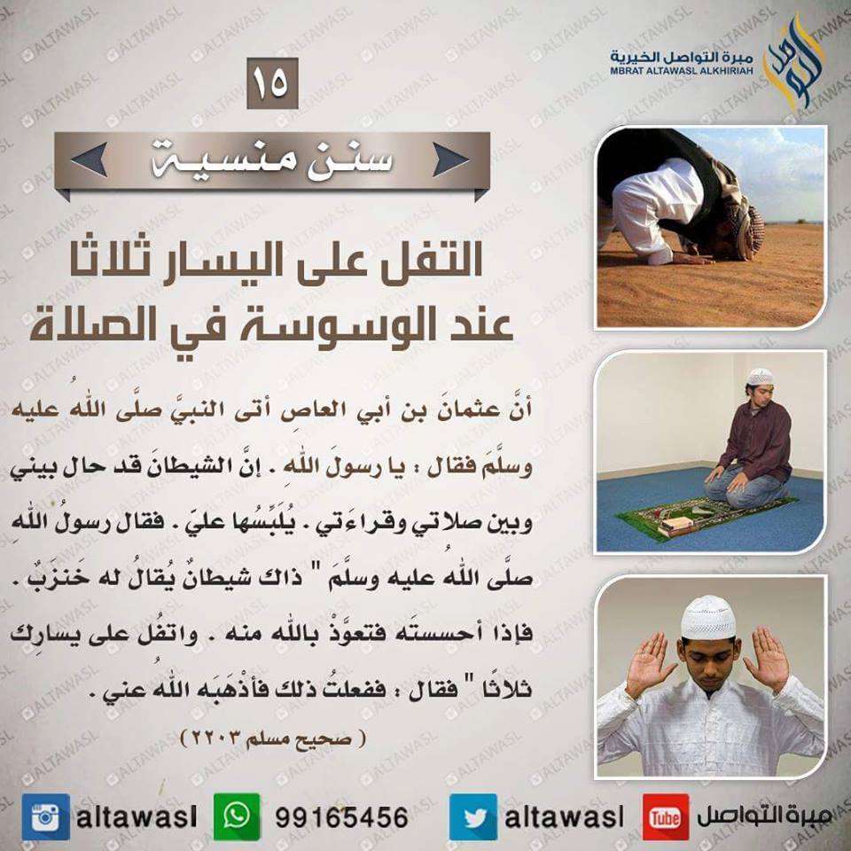 bntpal.com_145708624