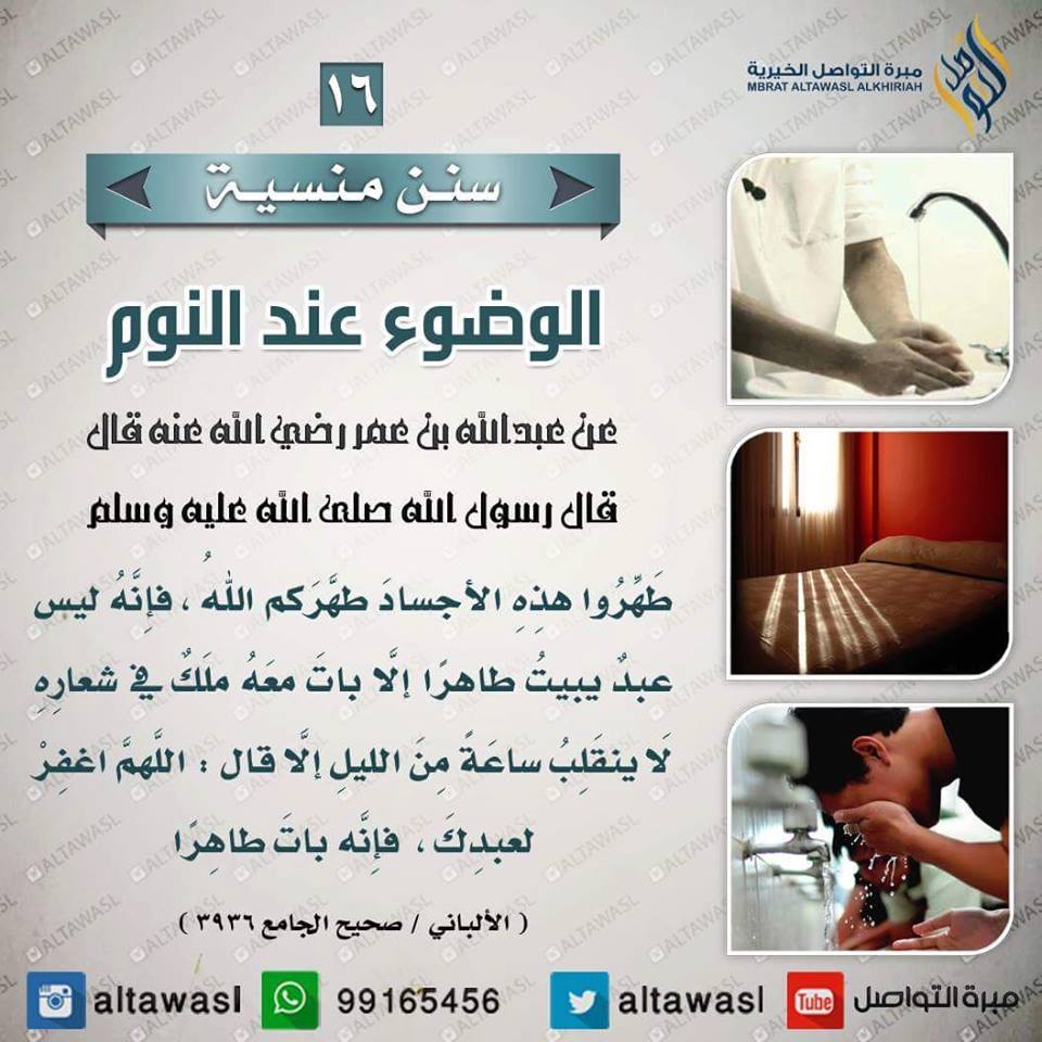 bntpal.com_145708624