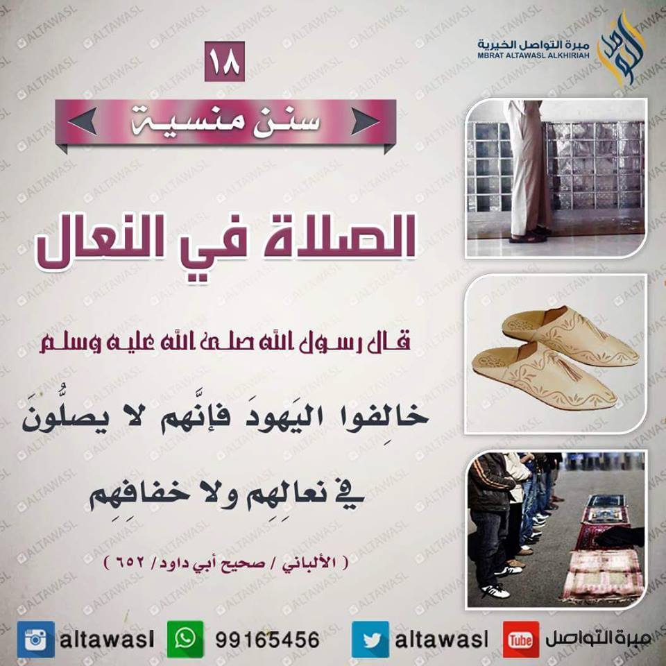 bntpal.com_145708624