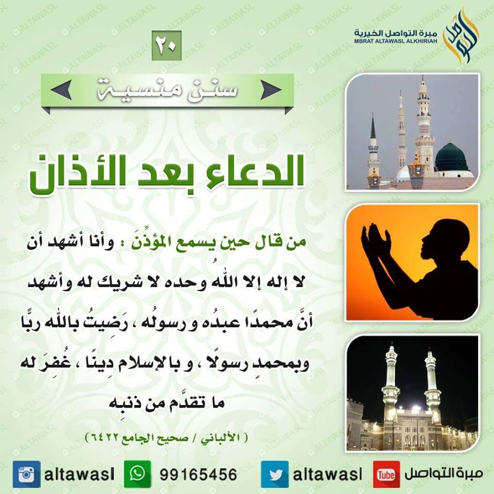 bntpal.com_145708624