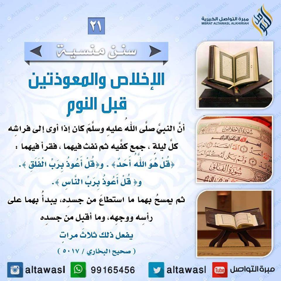 bntpal.com_145708624