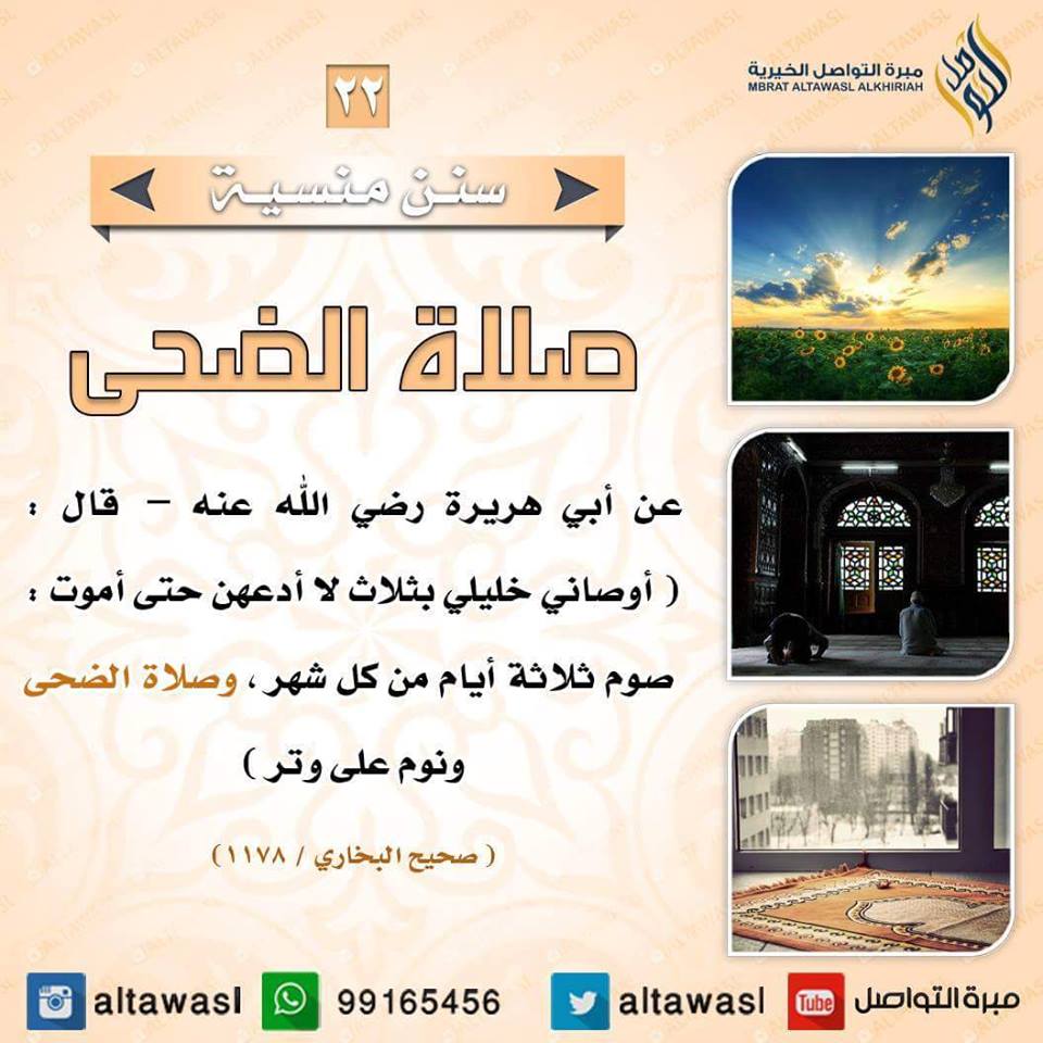 bntpal.com_145708624