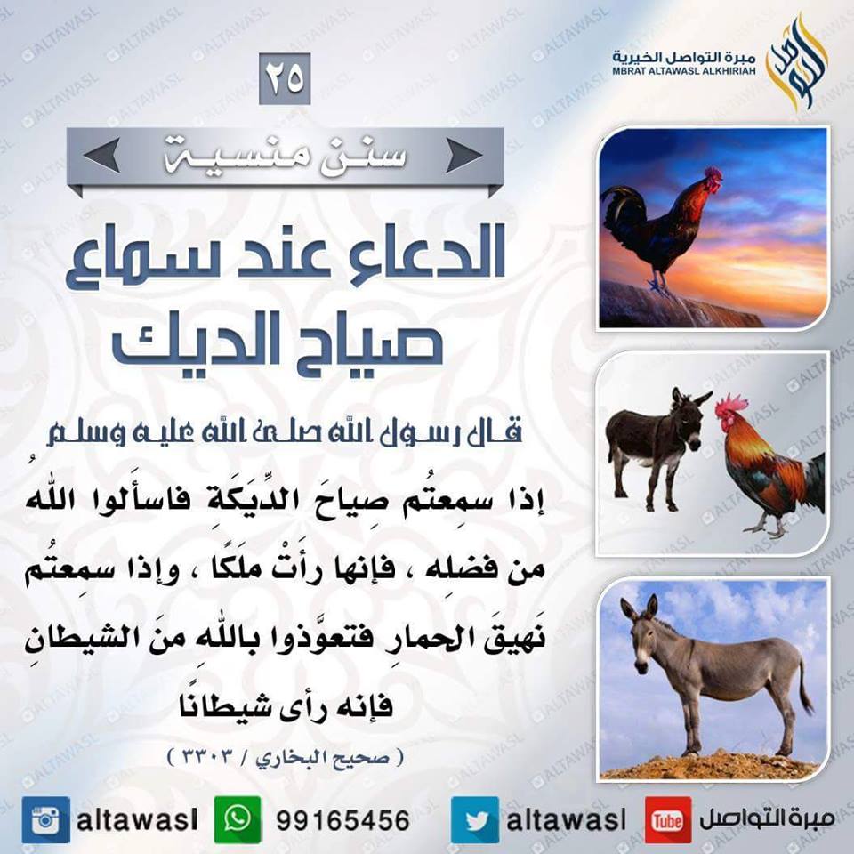 bntpal.com_145708624
