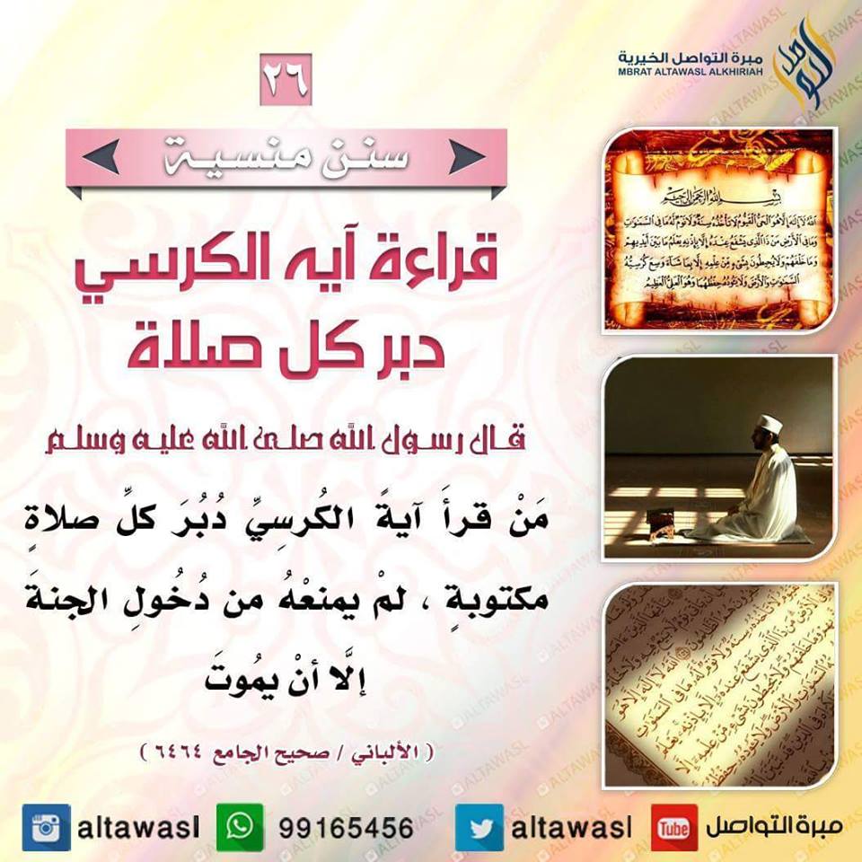 bntpal.com_145708624
