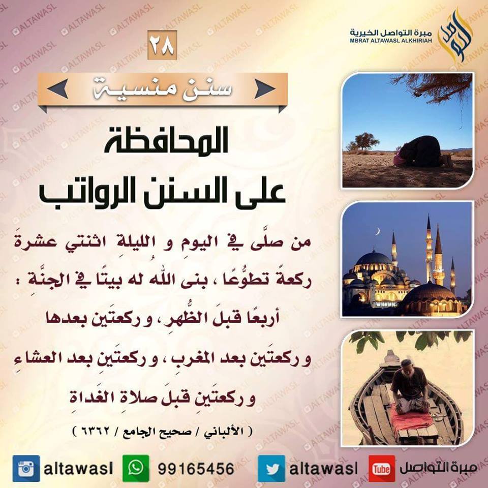 bntpal.com_145708624