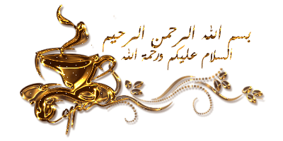 bntpal.com_145718701