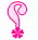 bntpal.com_145718808