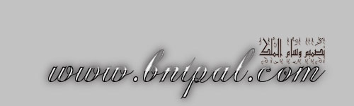 bntpal.com_145733814