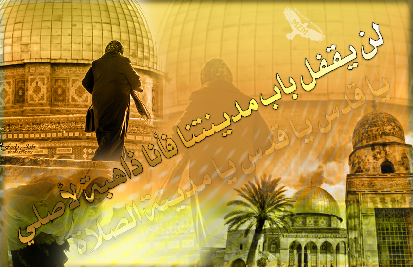 ���� ���� ������ �� ���� ������