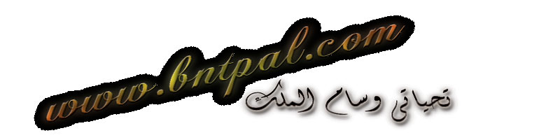 bntpal.com_145759390