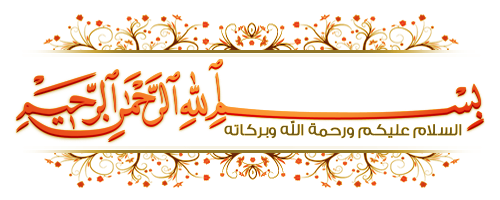 bntpal.com_145759894