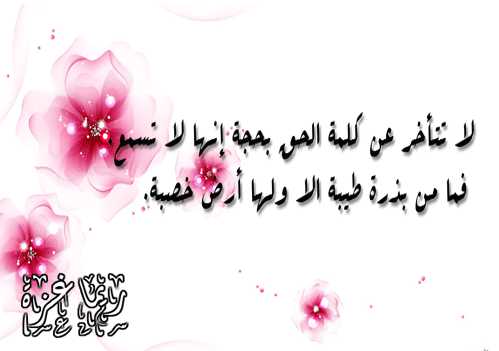 bntpal.com_145759896