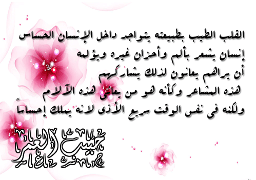 bntpal.com_145759896