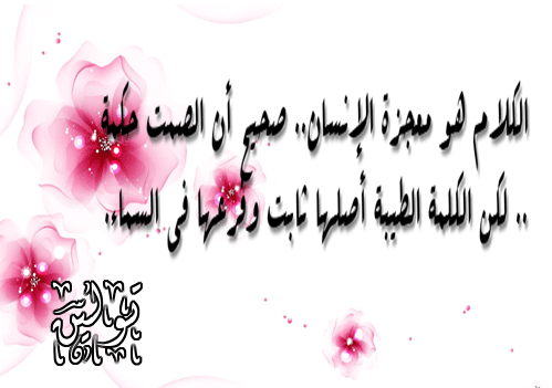 bntpal.com_145759896