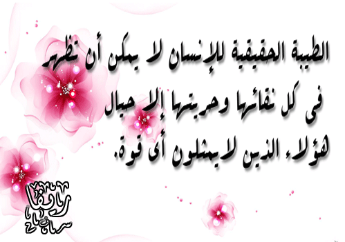 bntpal.com_145759896